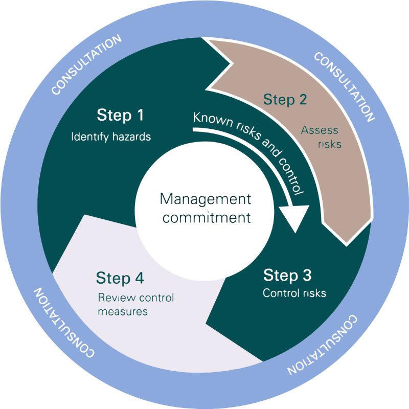 Psychosocial Wheel